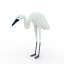 Heron
