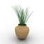 Urn