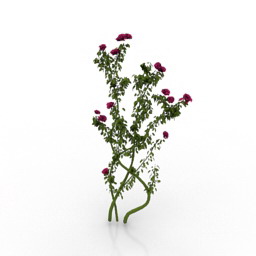 3D Plant preview