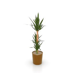 palm 3D Model Preview #15c28240