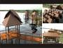 architecture home design