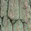 Bark