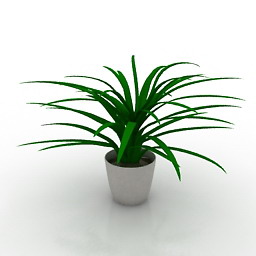 plant 2 3D Model Preview #4be03a65