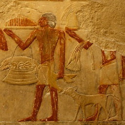 Murals