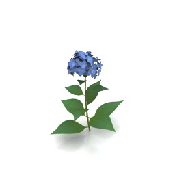 flower 3D Model Preview #32c27c21