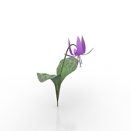 flower-kataku 3D Model Preview #a2251a58
