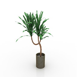 h-plant 3D Model Preview #854936d7