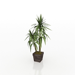 plant 3D Model Preview #e12f375b