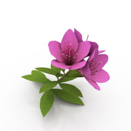 flower 3D Model Preview #67e39733