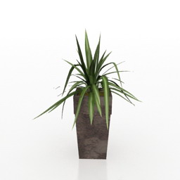 plant 3D Model Preview #28895812