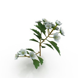 flower 3D Model Preview #75fc5703