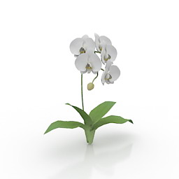 flower kotyou 3D Model Preview #f83c8448