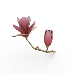 flower 3D Model Preview #9f805d06