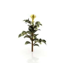 plant 3D Model Preview #f6ecb516