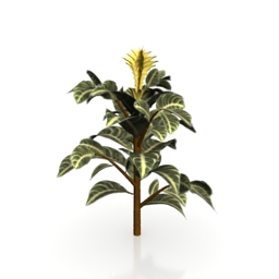 plant 3D Model Preview #e60ad8d1