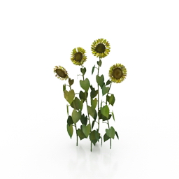 sunflower 3D Model Preview #ceead437