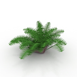 fern 3D Model Preview #08770bb8