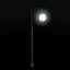 Lamppost