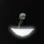 Sconce