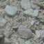 Stone