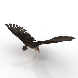 3D Falcon preview