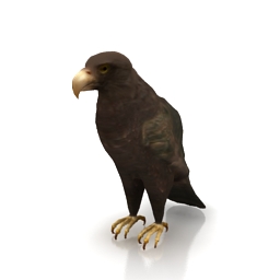 3D Eagle preview