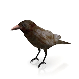 3D Crow preview