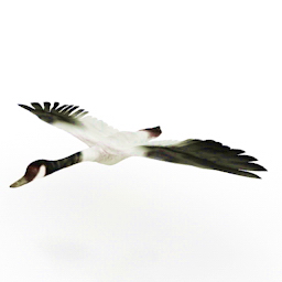 3D Goose preview