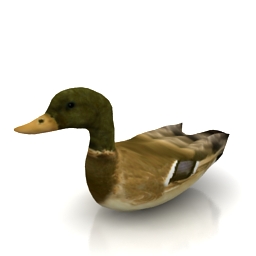 3D Duck preview
