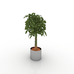 plant 3D Model Preview #f9a637d6
