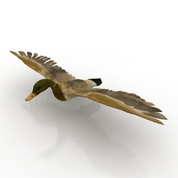 3D Mallard preview