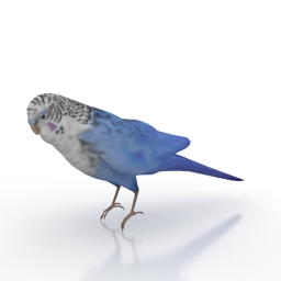 3D Parakeet preview
