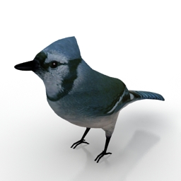 3D Jay preview