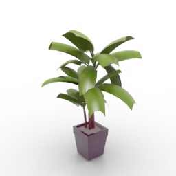 3D Palm preview