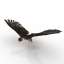 Falcon