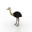 Ostrich