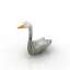Swan