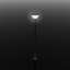 Lamppost