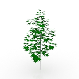 tree 1 3D Model Preview #e5e17477