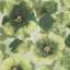 Textile