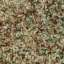 Carpeting