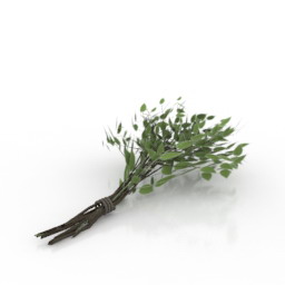 3D Broom preview
