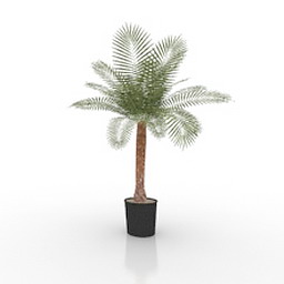 palm 3D Model Preview #3215aa22