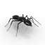 Ant