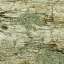 Bark