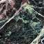 Marble