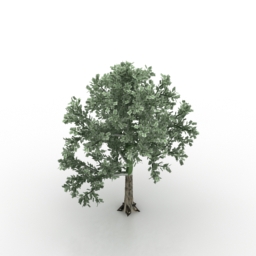 tree 3D Model Preview #b37f5779