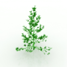 tree 3D Model Preview #4131c0a4