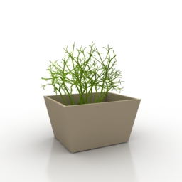 plant 3D Model Preview #85e845b9