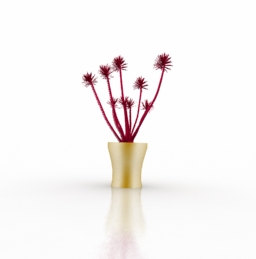 flower 3D Model Preview #69ac4681